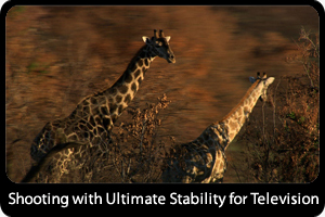 Shooting with Ultimate Stability for Television